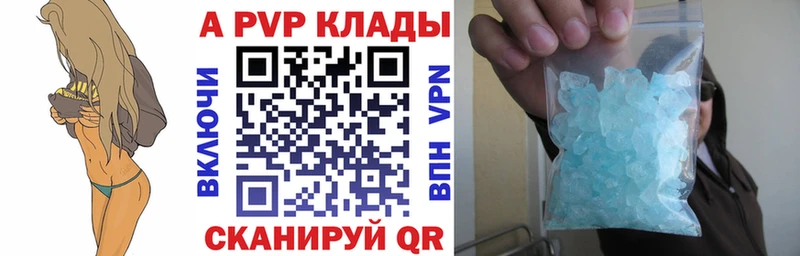 Альфа ПВП СК КРИС  Курчалой 