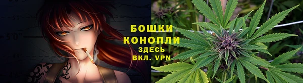 дурь Коряжма