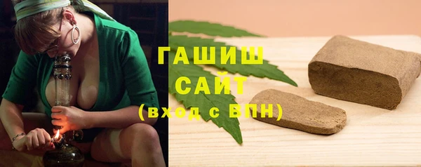 индика Козельск