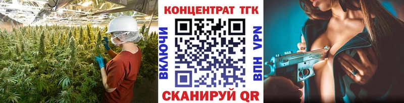 ТГК Wax  Курчалой 
