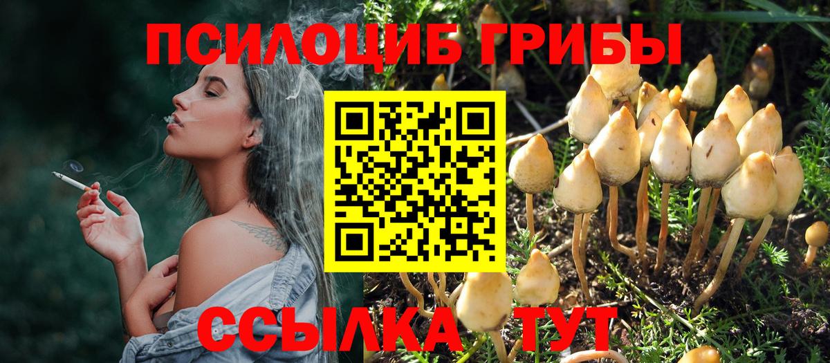 Псилоцибиновые грибы мухоморы  Курчалой 
