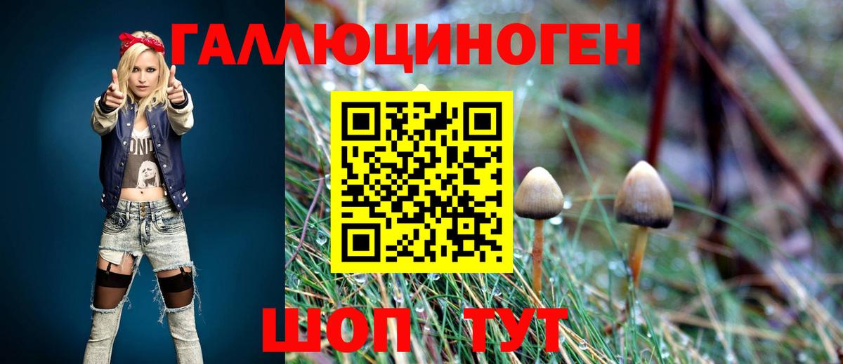 Псилоцибиновые грибы Psilocybine cubensis  Вход с VPN  Курчалой  Галлюциногенные грибы прущие грибы 