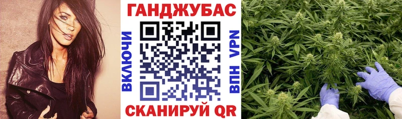 Конопля сатива Курчалой