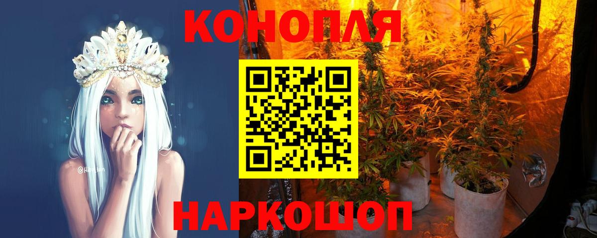 Бошки Шишки сатива  Бошки Шишки OG Kush  Курчалой  МАРИХУАНА Bruce Banner 